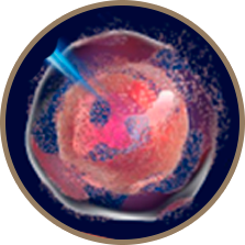 Дефектная клетка гибнет