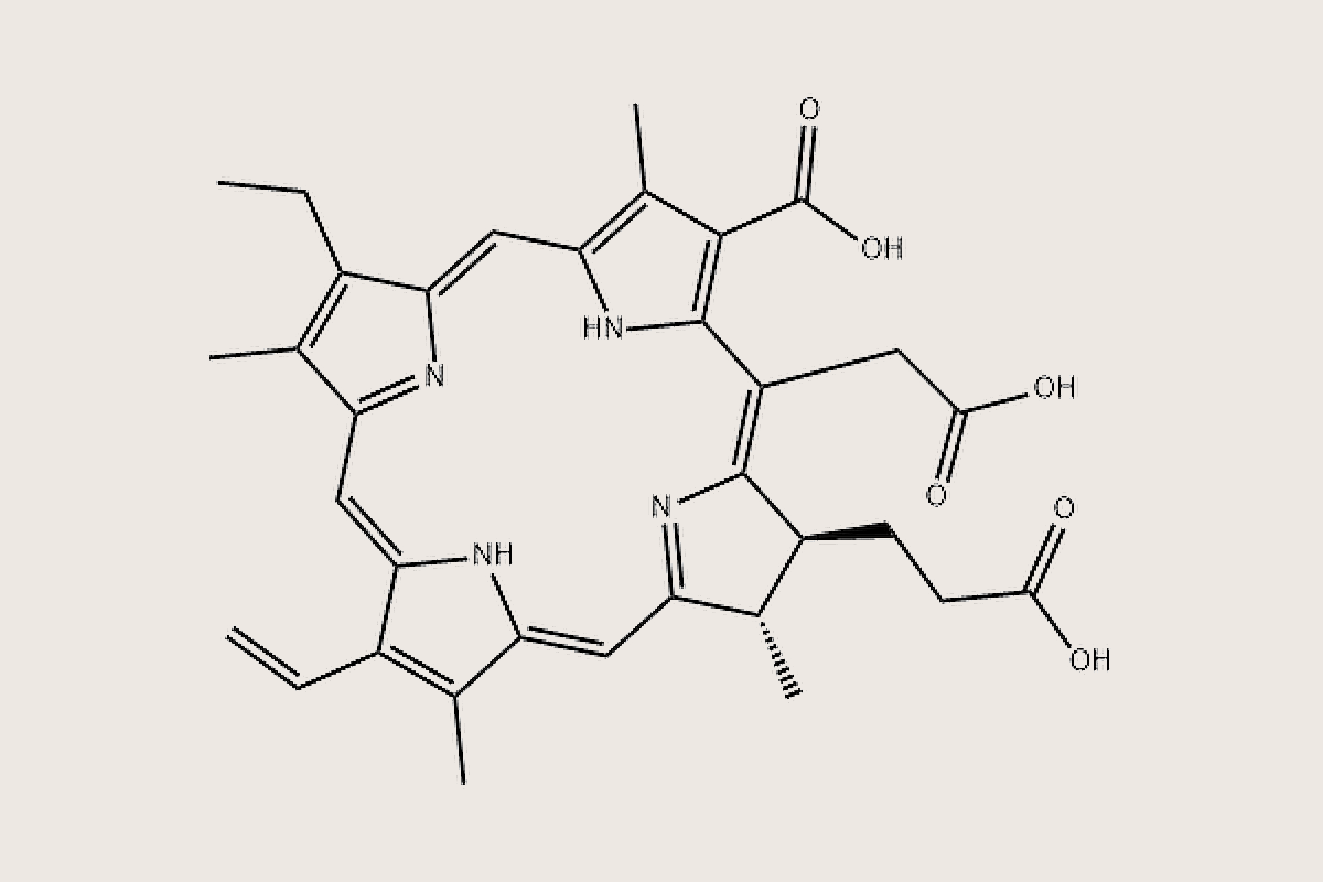 Молекулярная структура хлорина Е6 — тетрапиррольное кольцо с атомами азота (зелёный) и карбоксильными группами (терракота)